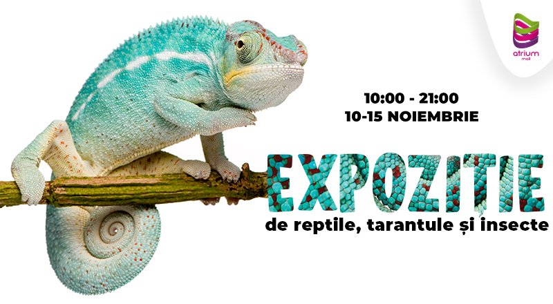 Expoziție de reptile, tarantule și insecte la Atrium Mall