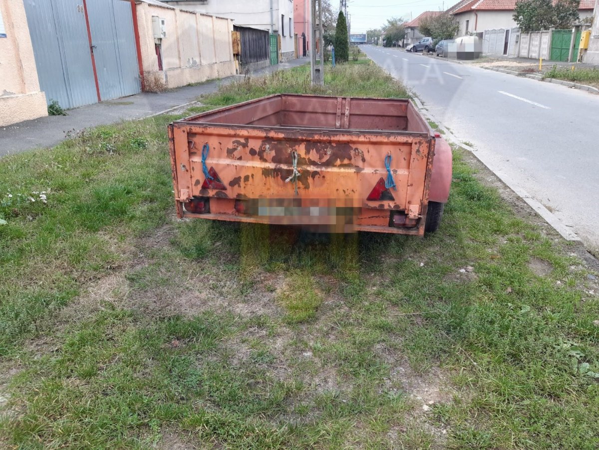 Care au fost rezultatele unei acțiuni a Poliției Locale în Aradul Nou, Grădiște, Gai și Bujac (FOTO)