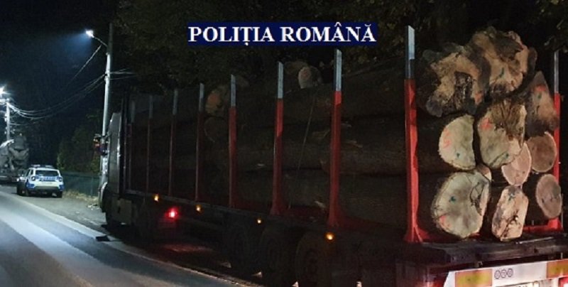 Lemn fără acte identificat de polițiști, transportat pe șoselele județului