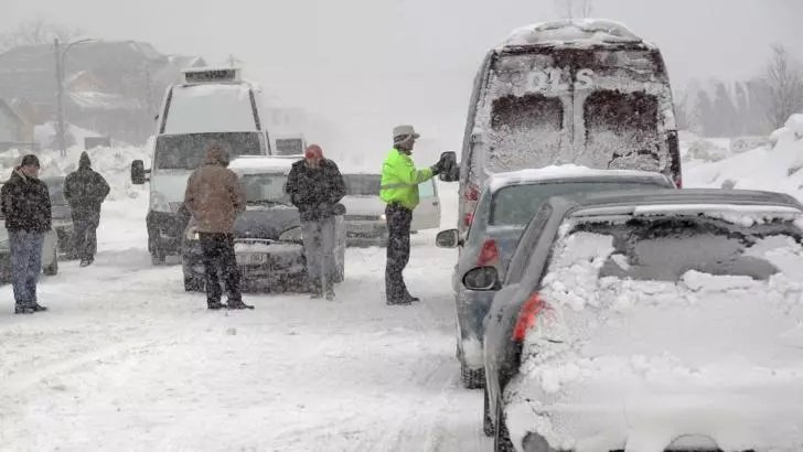 God galben de ninsori în zece județe din zona montană