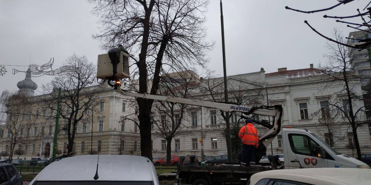 A început toaletarea arborilor de pe Revoluţiei