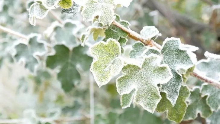 Val de AER POLAR peste România: temperaturi de -20 de grade!