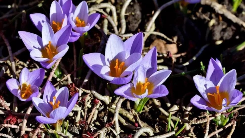 Schimbări spectaculoase ale vremii. Prognoza meteo până pe 14 martie. Când lovesc ploile și frigul