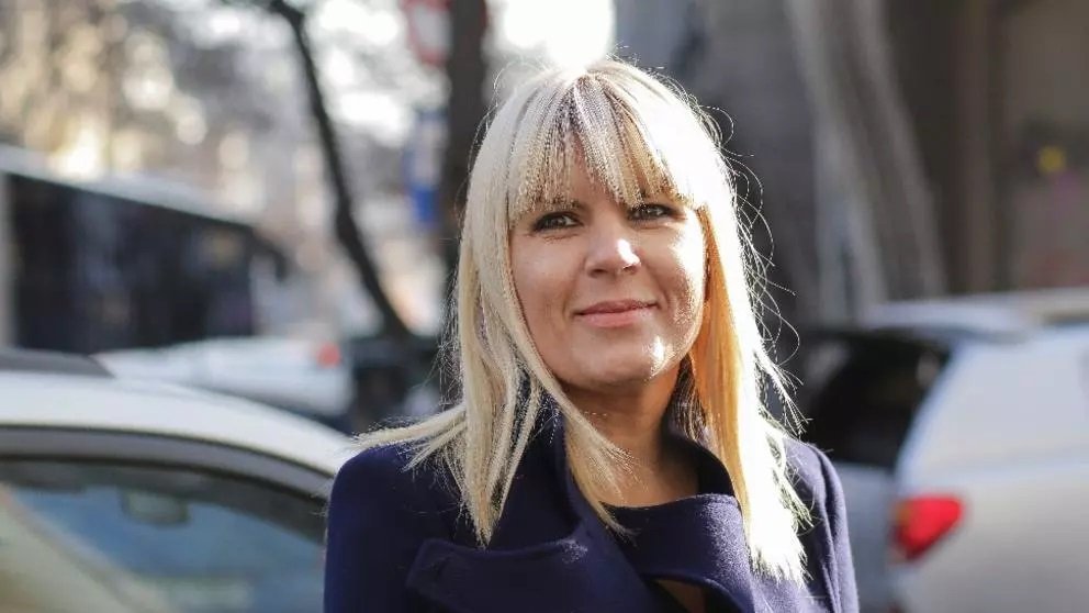 Elena Udrea, condamnată la 8 ani de închisoare EXECUTARE în dosarul campaniei prezidențiale, pentru spălare de bani - Ioana Băsescu: 5 ani de închisoare