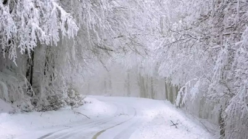 ALERTĂ METEO - Cod galben de NINSORI și VISCOL în București și în 15 județe