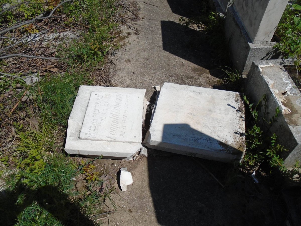 Un tânăr certat cu legea a profanat un monument funerar