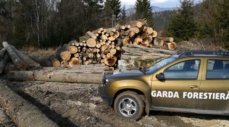 Amenzi de 6.000 de lei aplicate în urma unor controale la fondul forestier național