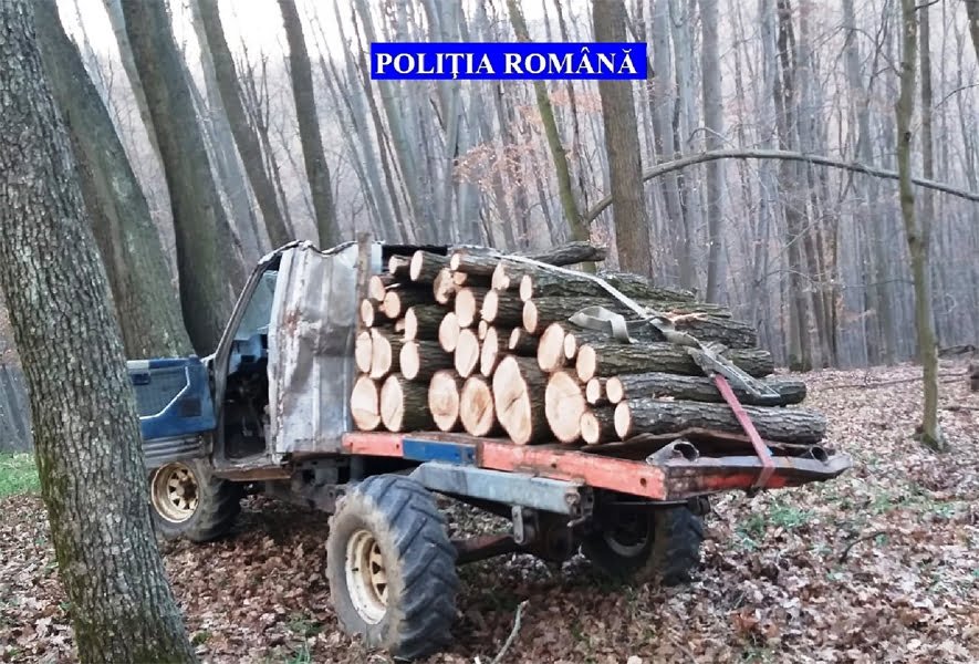 Au tăiat ilegal și au furat mai mulți arbori din pădurea Gurahonț