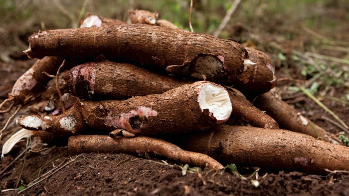 TOP 3 ALIMENTE OTRĂVITOARE pe care le consumăm!