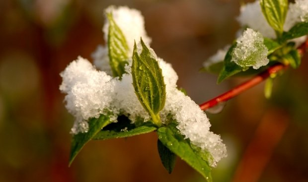 PROGNOZA METEO pe trei zile. Vremea va fi deosebit de caldă în weekend