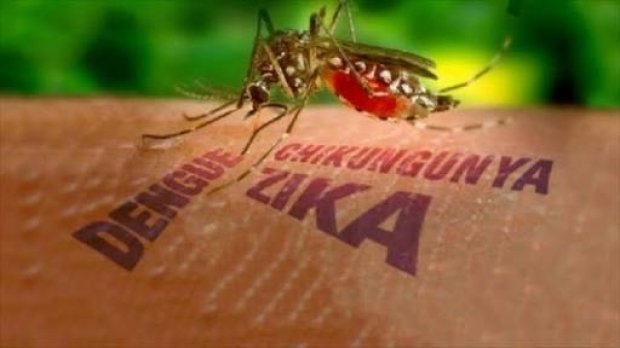 OMS: Virusul Zika este în aceeaşi categorie cu Ebola. A fost decretată urgenţă medicală globală  