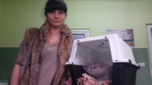 O tânără din Timişoara a luat ţeapa vieţii după ce a dat 1.600 de lei pe o pisică de rasă cumpărată de la mall. Ce i-au ascuns vânzătorii 