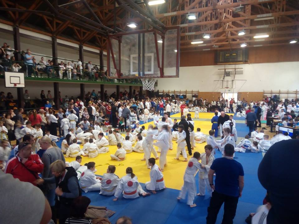 Judoka arădeni, medaliaţi la Nagykoros
