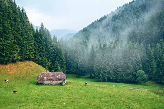 Un elveţian s-a mutat în România, vezi ce părere şi-a făcut despre țara noastră