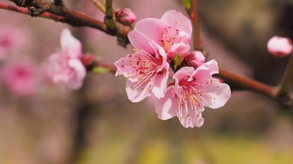 Prognoza meteo pe o lună: schimbări dramatice. Cum va fi vremea până pe 10 mai