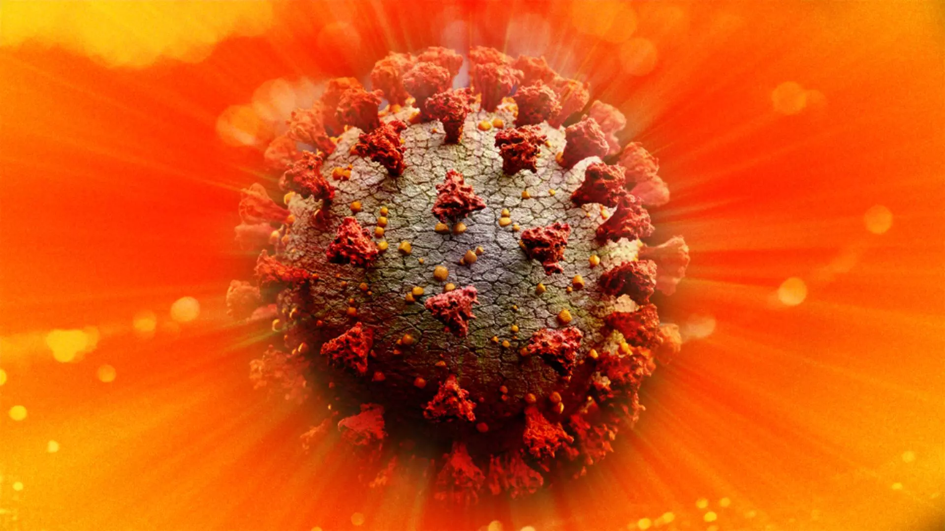 Expunerea la soare SCADE riscul de DECES după infectarea cu noul coronavirus - Ce raze ultraviolete REDUC mortalitatea COVID-19