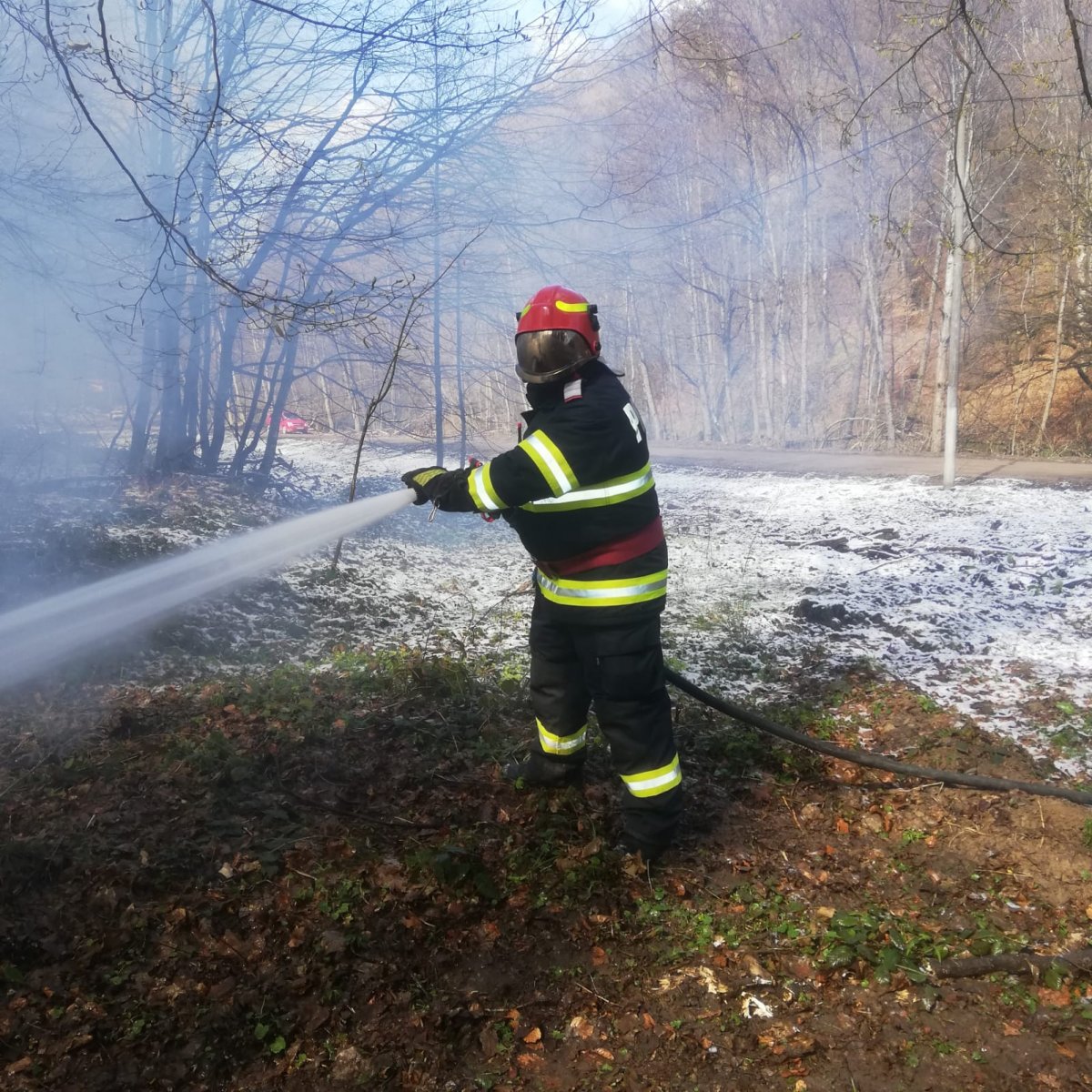 Exercitiu cu forțe si mijloace. Stingere incendii de pădure