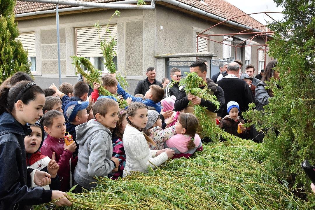 Cunoașteri de început; obiceiuri de Sânjorz şi Florii