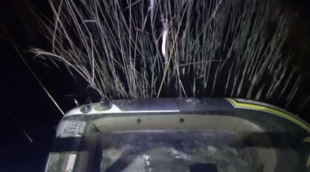 Doi bărbați din Bodrogu Nou au fost prinși la braconaj chiar în momentul în care scoteau din apă o plasă monofilament de 50 m (VIDEO)