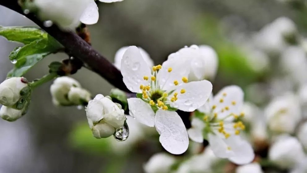 Prognoza meteo pe o lună, actualizată. Schimbări RADICALE - cum va fi vremea în luna MAI