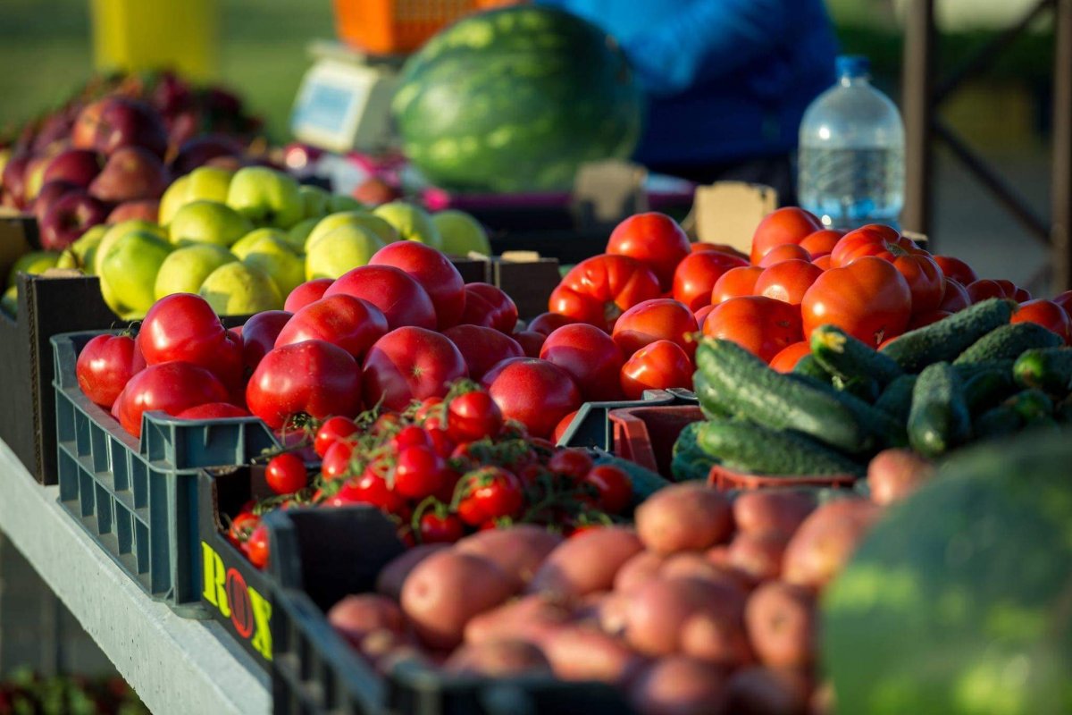 Primăria Comunei Șagu a inaugurat o piață agroalimentară 