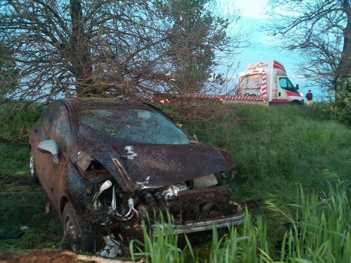 Ford contra Peugeot la ieșirea din Orțișoara