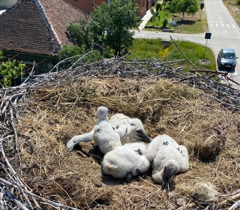 O misiune altfel, pentru că fiecare viață contează!