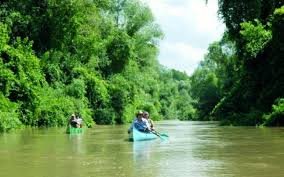 Parcul natural Lunca Mureșului - descrierea și activitățile de turism, recreere și sport care se pot desfășura în această zonă