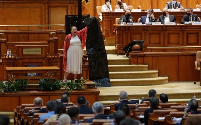 Circ în Parlament. Protagonişti: Diana Iovanovici Şoşoacă şi... un senator arădean, care o acuză de agresiune (VIDEO)