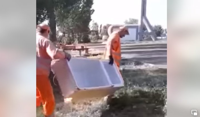 Parcări transformate în gropi de gunoi; ce au găsit drumarii între Arad şi Timiş (VIDEO)