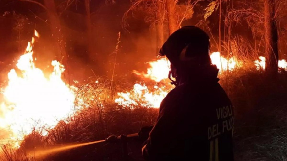 VIDEO - Incendii violente și în România - În Mehedinți, Brăila și Vâlcea flăcările au făcut prăpăd