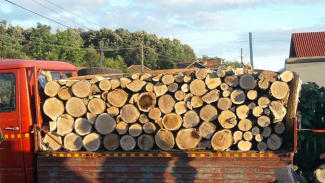 O femeie și un bărbat au fost amendați pentru că au transportat lemn ilegal