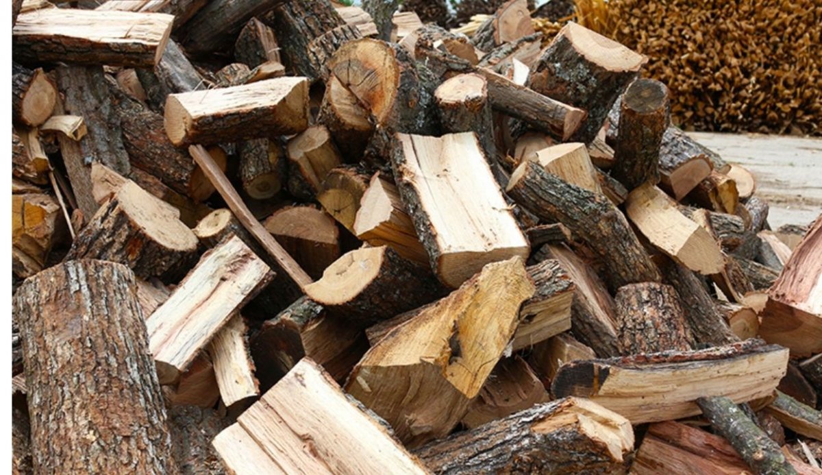 Românii ar putea plăti mai puţin pe lemnele de foc în această iarnă