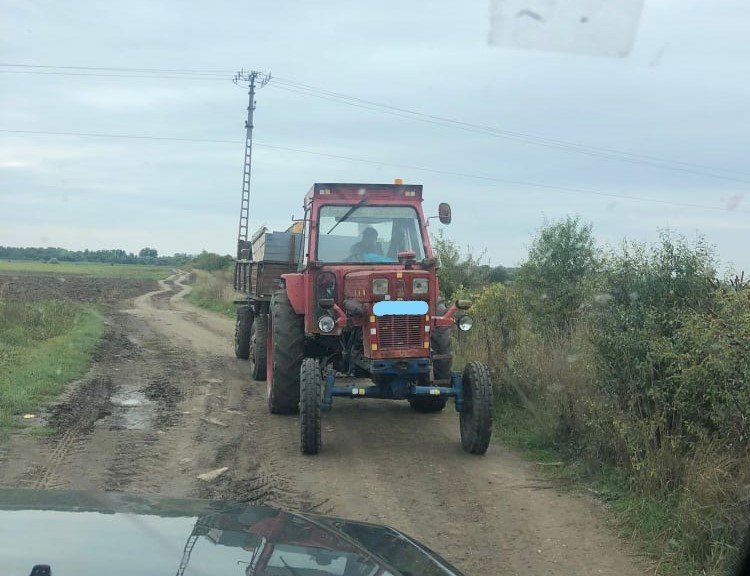 Hoţii de lemne dau atacul până şi în Parcul Natural Lunca Mureşului