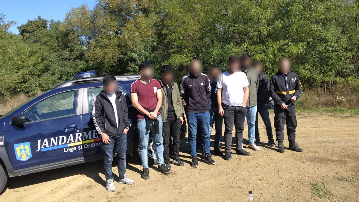 Jandarmii au depistat zece migranți ascunși într-o pădure din comuna Vărădia de Mureș