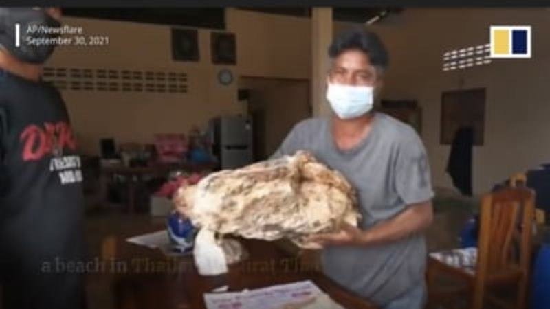 A dat lovitura: un pescar a găsit 30 de kilograme de vomă de balenă; vezi cu cât poate să o vândă