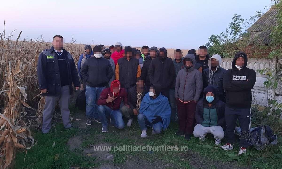 26 de migranți descoperiți într-un lan de porumb în zona Nădlac (VIDEO)