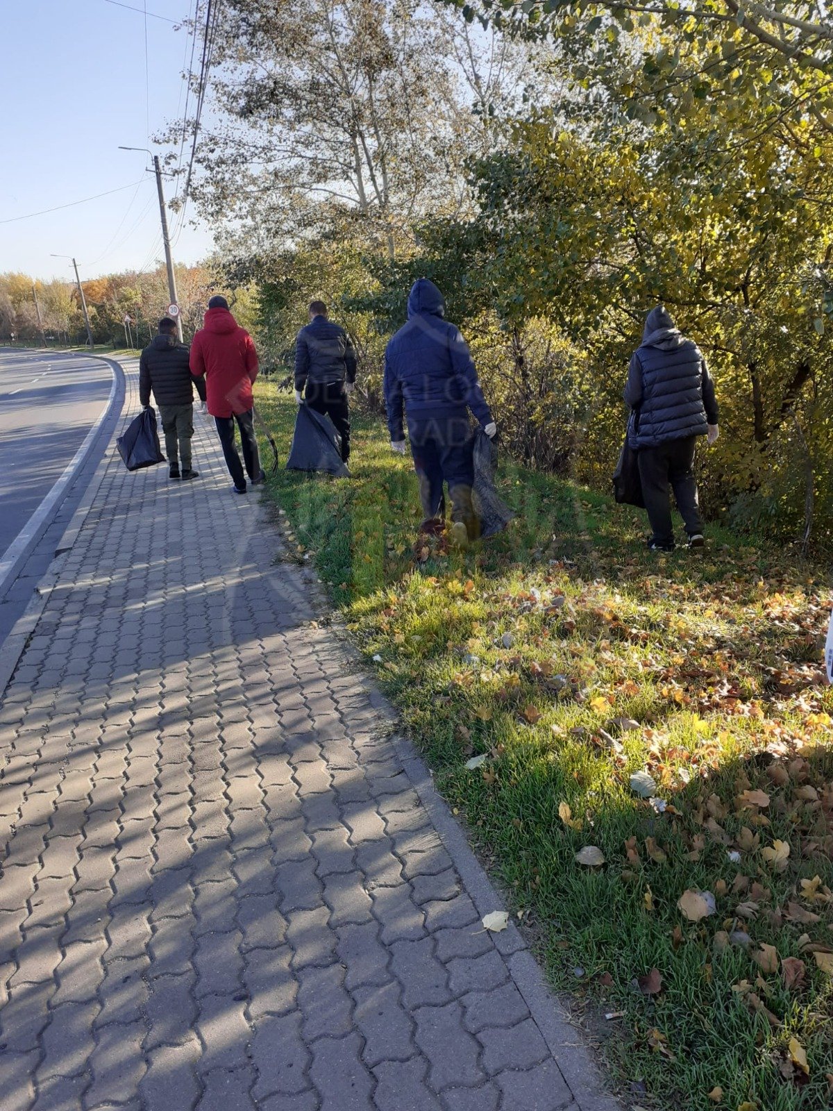 Mai multe zone din municipiu curăţate de beneficiarii legii venitului minim garantat şi infractori puşi la muncă