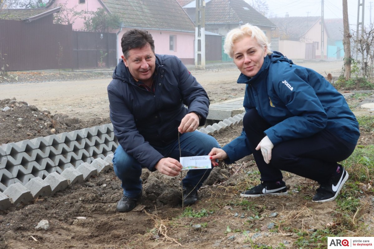 Acţiune de amploare: peste 1.000 de puieţi de frasin şi stejar plantaţi la Pecica (FOTO)