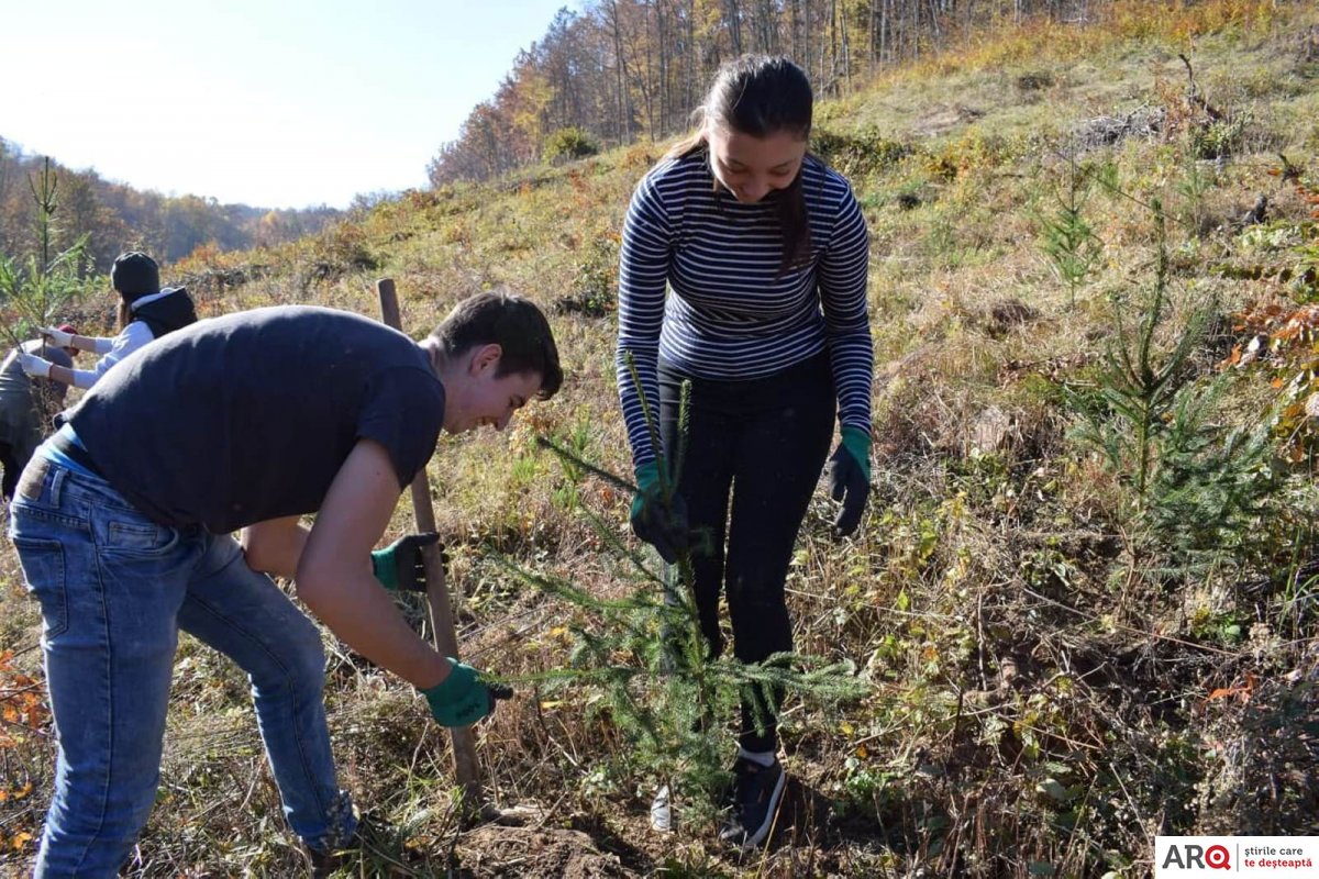 Bârzava - noi obiective finalizate, alte proiecte inițiate și o acțiune de reîmpădurire cu 1.500 de puieți  plantați în pădurea din Lalașinț 
