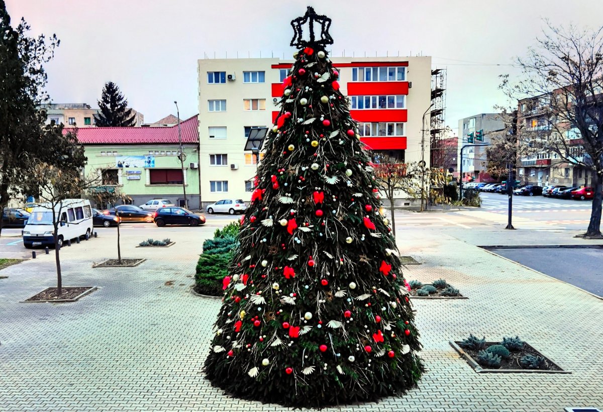 Vin colindătorii la Consiliul Județean Arad