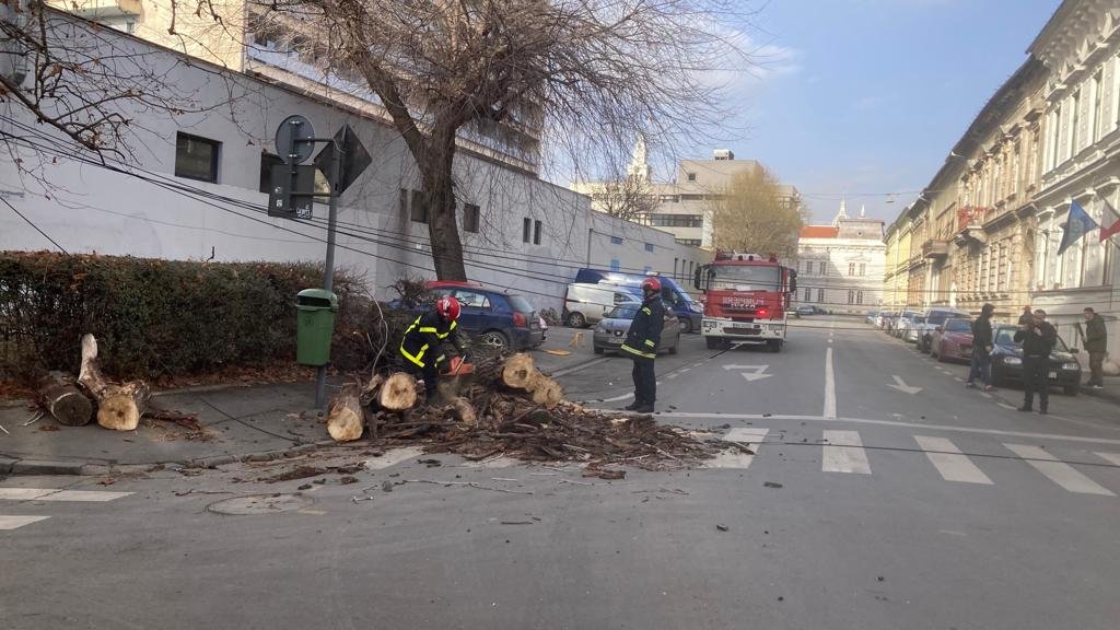 A-nceput de ieri să cadă ... câte un copac pe stradă