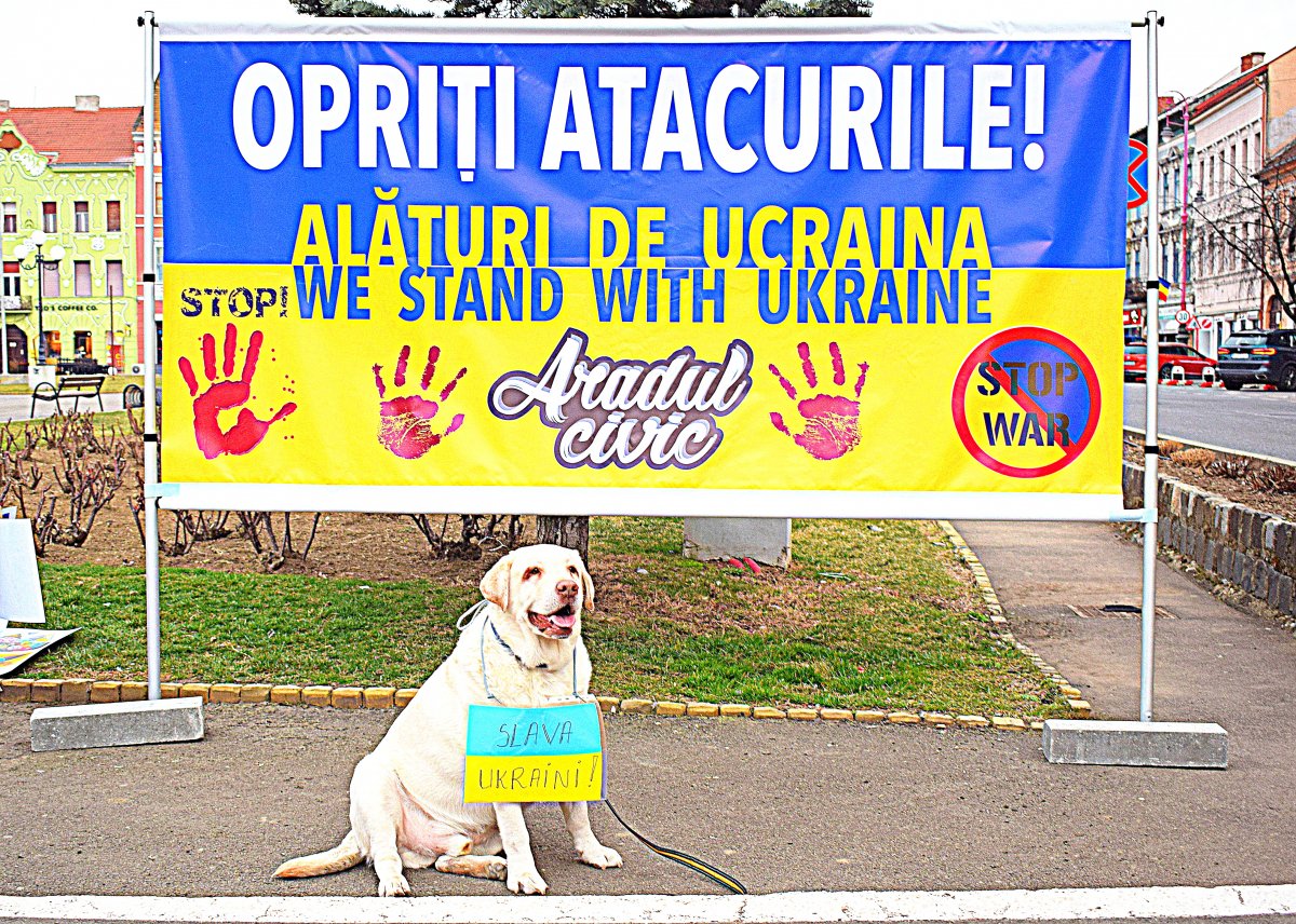 Bruno protestând împotriva războiului din Ucraina pe ritmurile muzicii