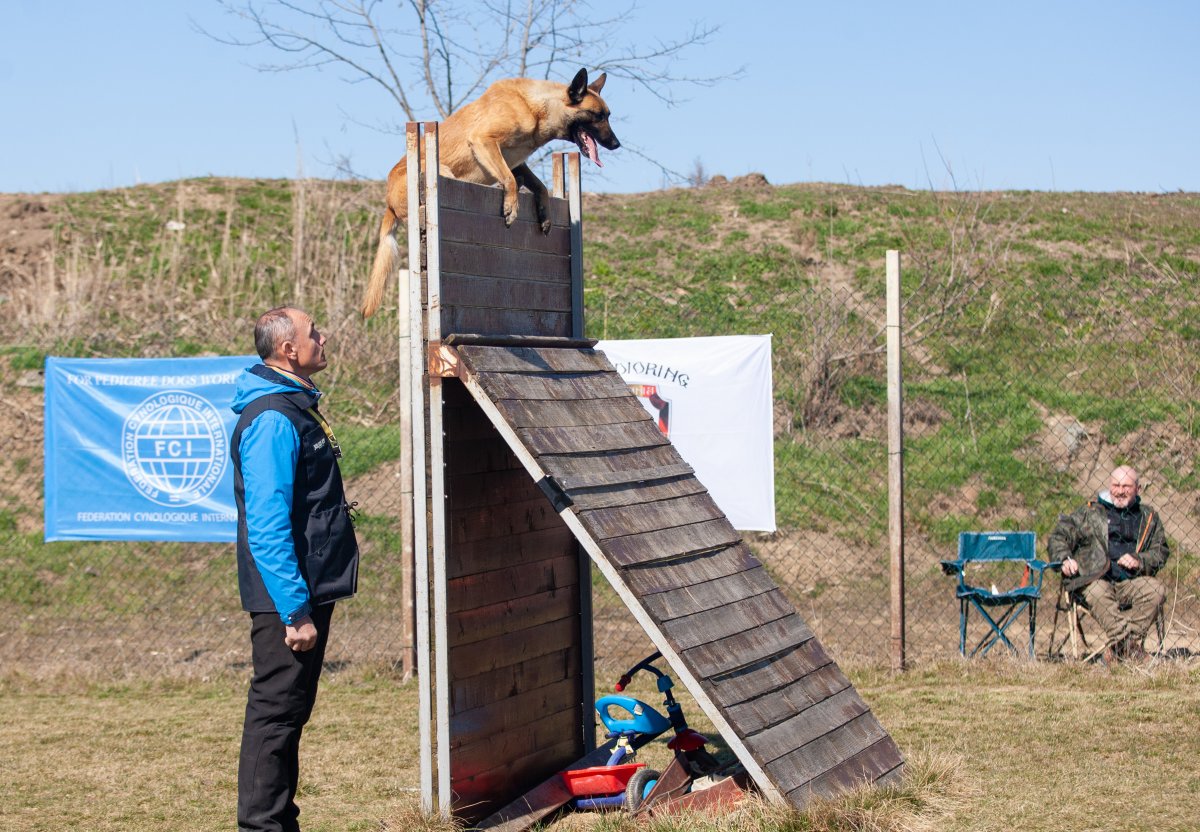 Spectacol canin la Mândruloc