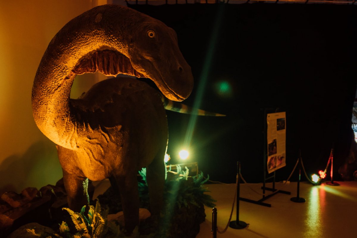 Când se deschide expoziţia „Living Dinosaurs Experience!” care va avea loc la Expo Arad