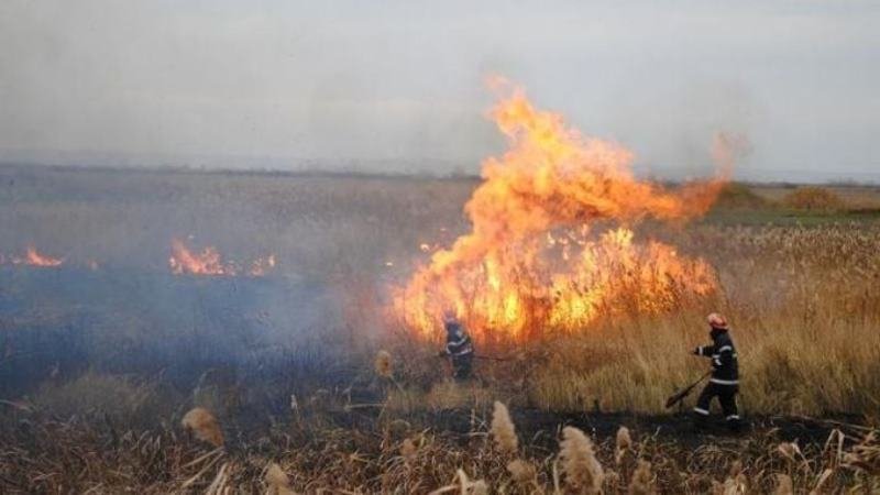Amendă de 50.000 de lei pentru un teren incendiat la Bârzava (FOTO)