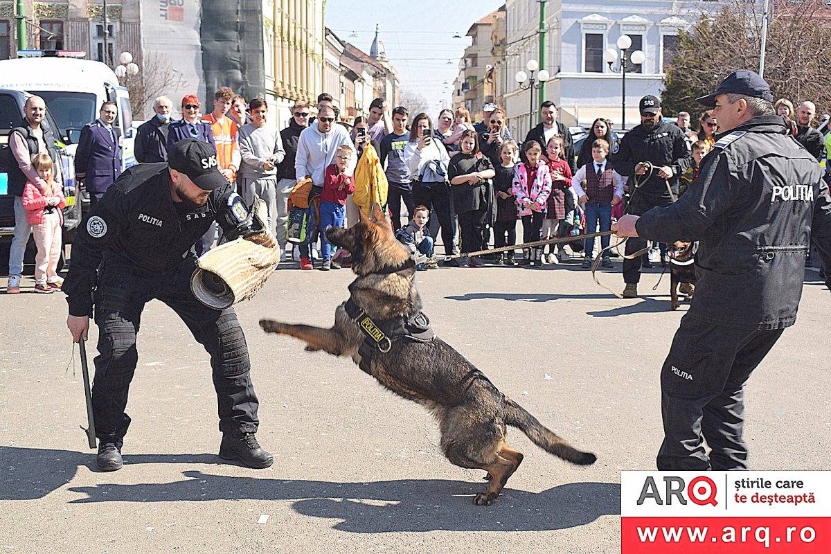 Ziua Porților Deschise, la IPJ Arad (FOTO)