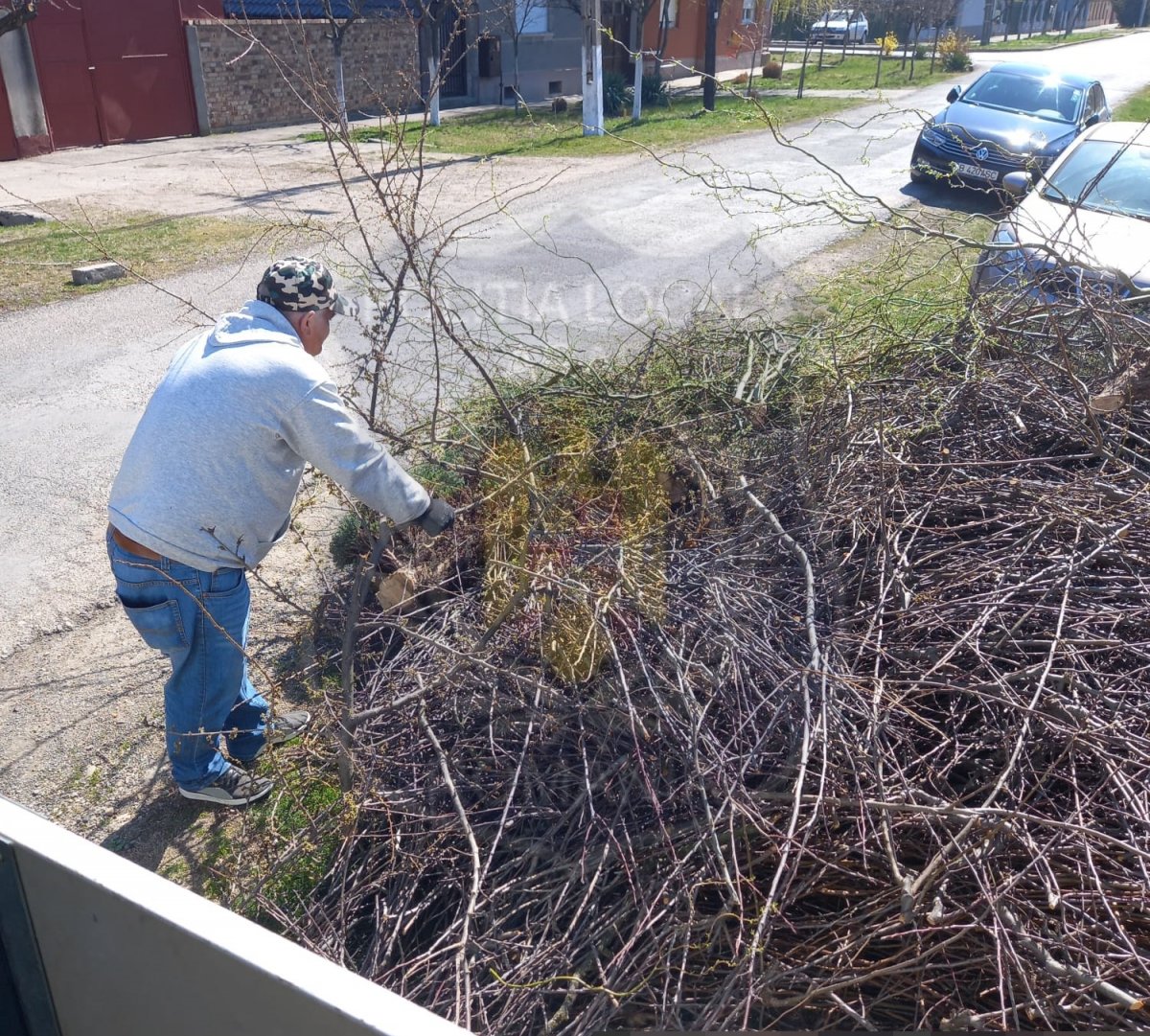 Unde se face curăţenie de primăvară în municipiu, ce cantitate de deşeuri vegetale va fi preluată gratuit şi ce AMENZI riscă arădenii care nu-şi curăţă curţile şi trotuarele din faţa casei (FOTO)