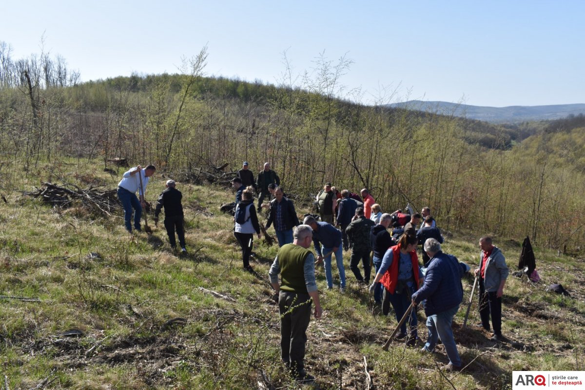 Bârzava - o nouă acțiune de împădurire și un proiect nou pentru școală (FOTO şi VIDEO)