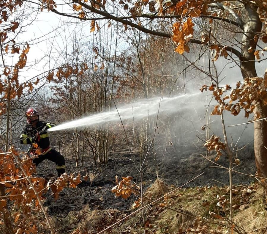Pompierii sebișeni au intervenit între Gurahonț și Gura Văii la stingerea unui incendiu de vegetație uscată